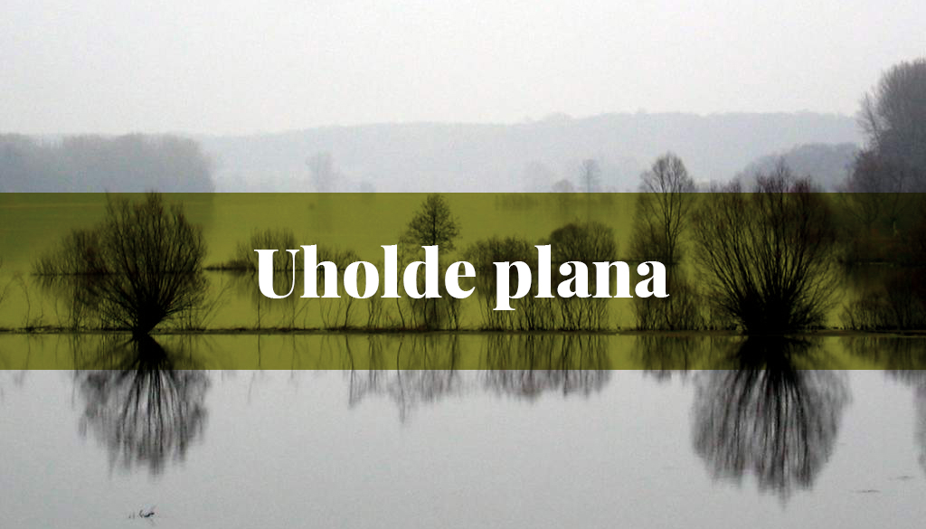 Uholde plana